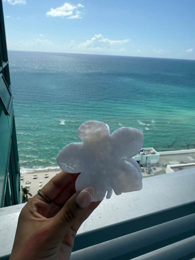 Seashell Flower LuxClaw Clip